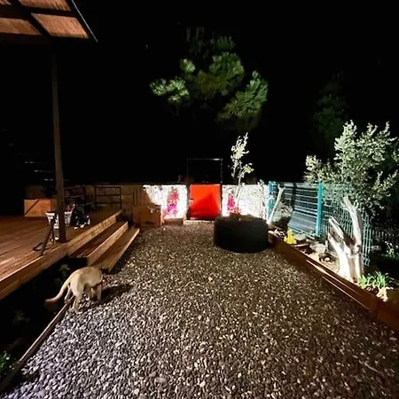 Kaktues Ev Soeguet Marmaris